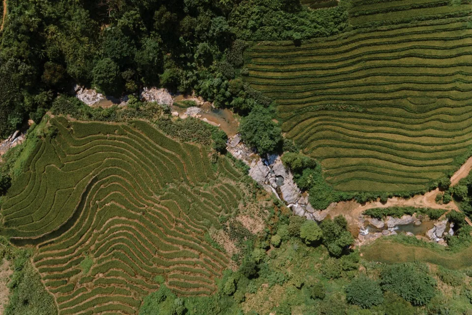 Kho gạo của Nguyễn Thị Thanh Xuân